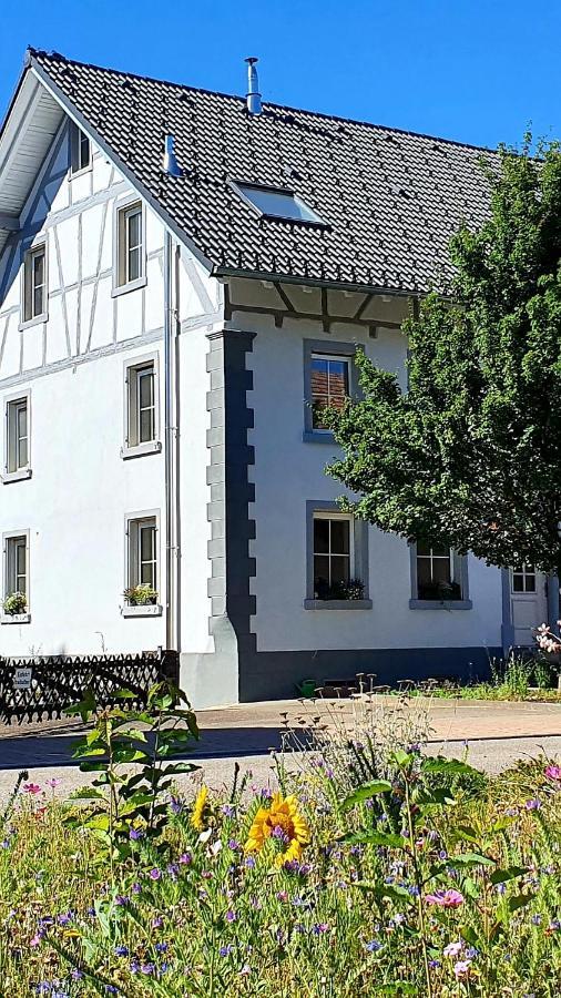 Apartment Kerbholz - Zwischen Suedschwarzwald Und Schweiz Griessen ภายนอก รูปภาพ